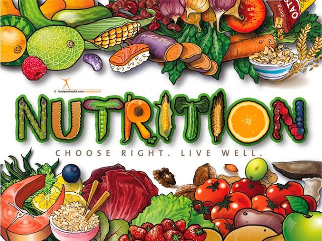 How Eating Well Can Improve Your Day-to-Day Life